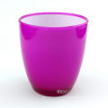 Plastic Cup Disposable Tumbler Double Wall Mug
